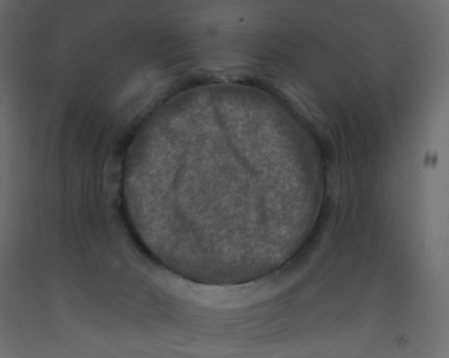 X0000092080030200710101049