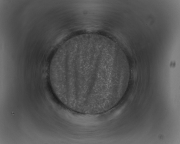 X0000092080032200710101049