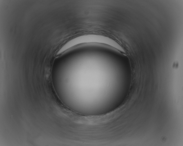 X0000092080033200710101049