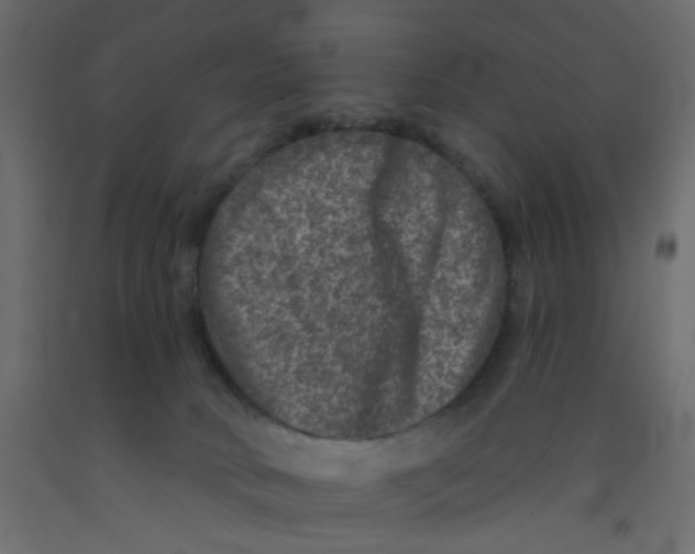 X0000092080034200710101049