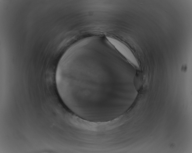 X0000092080035200710101049