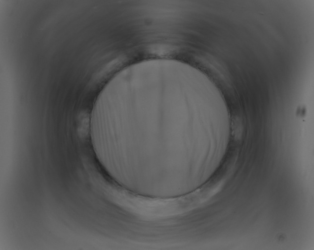 X0000092080036200710101049