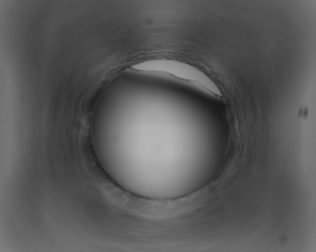 X0000092080037200710101049