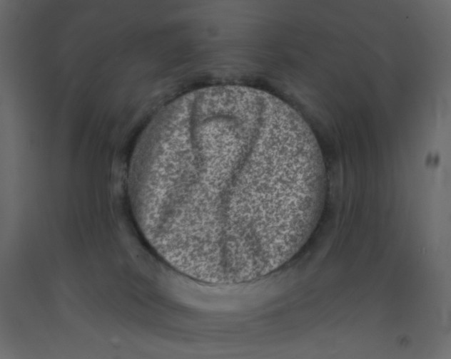 X0000092080038200710101049