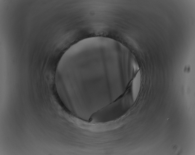 X0000092080039200710101049