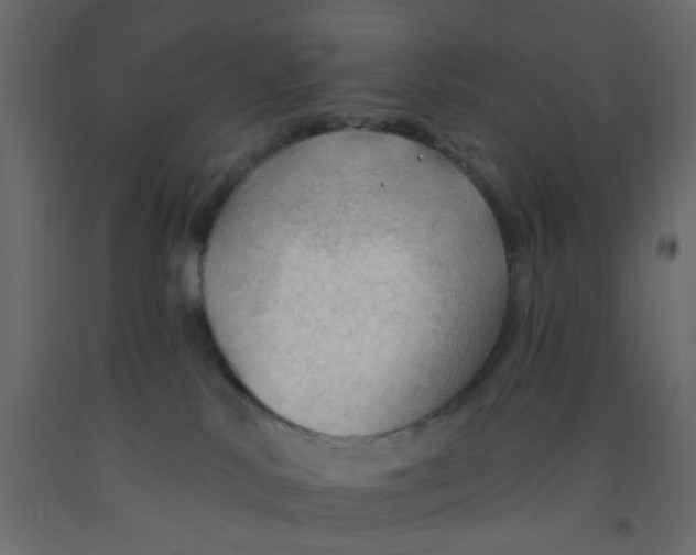 X0000092080042200710101049