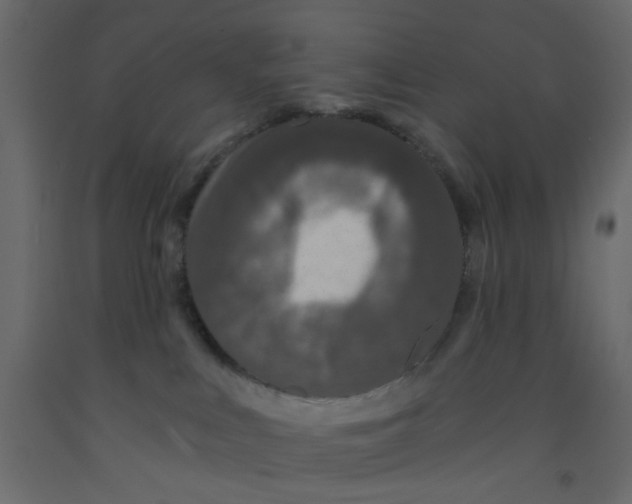 X0000092080043200710101049