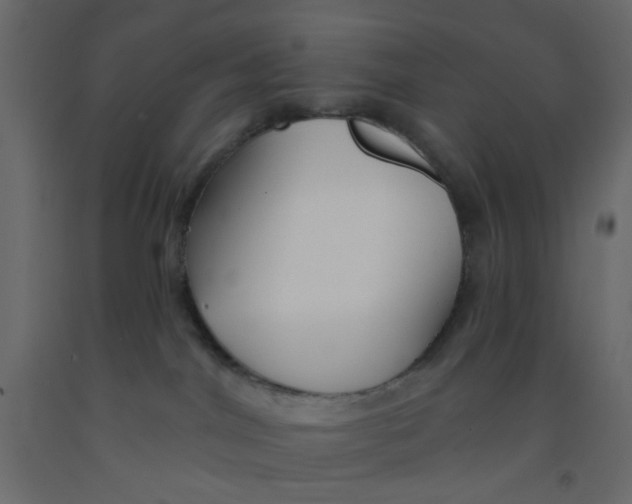 X0000092080044200710101049