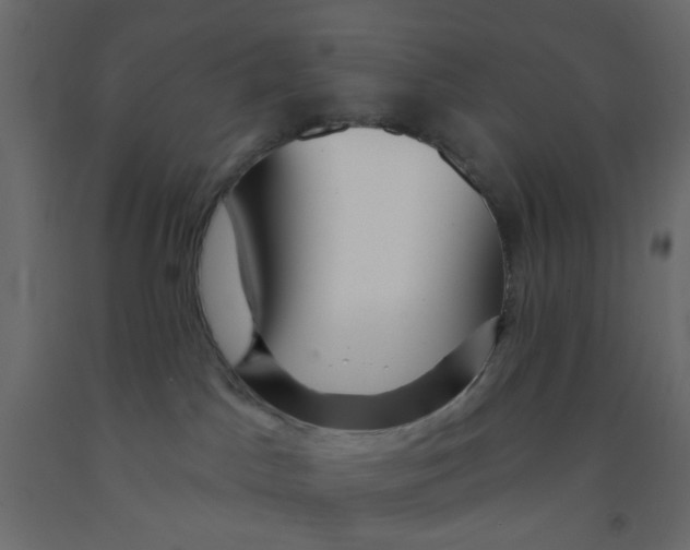 X0000092080045200710101049