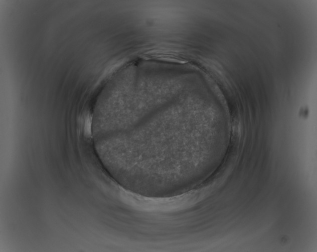 X0000092080046200710101049