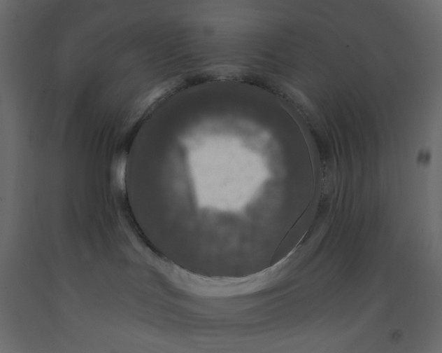 X0000092080047200710101049