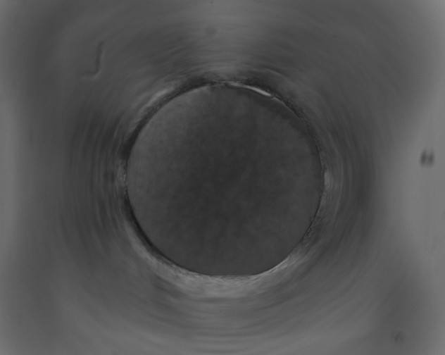 X0000092080048200710101049