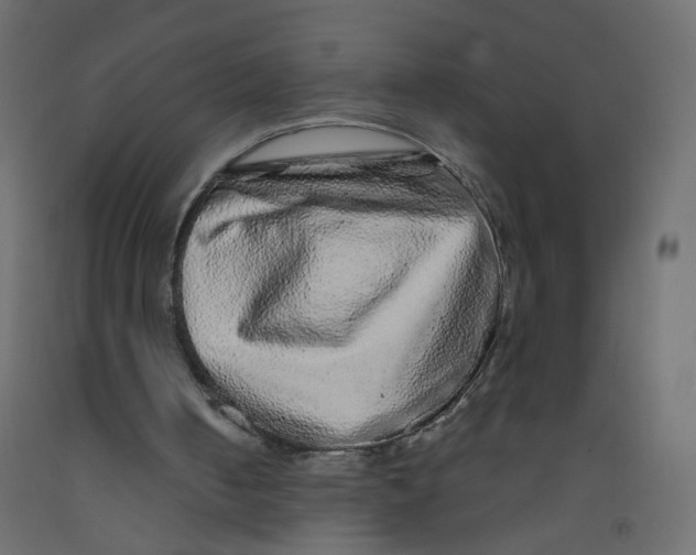 X0000092080050200710101048