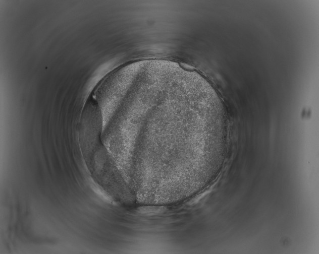 X0000092080051200710101048