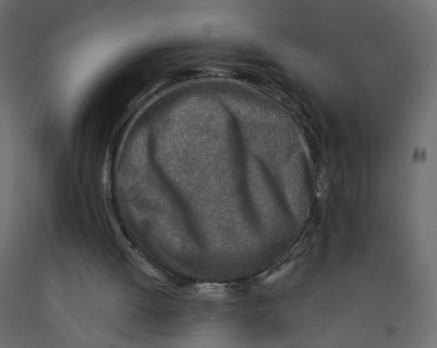 X0000092080052200710101049