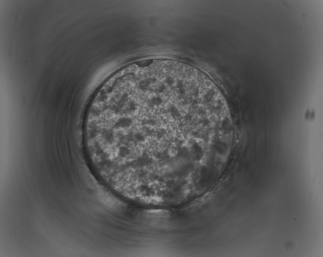 X0000092080053200710101049