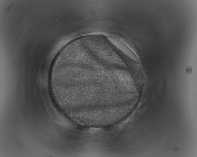 X0000092080055200710101049