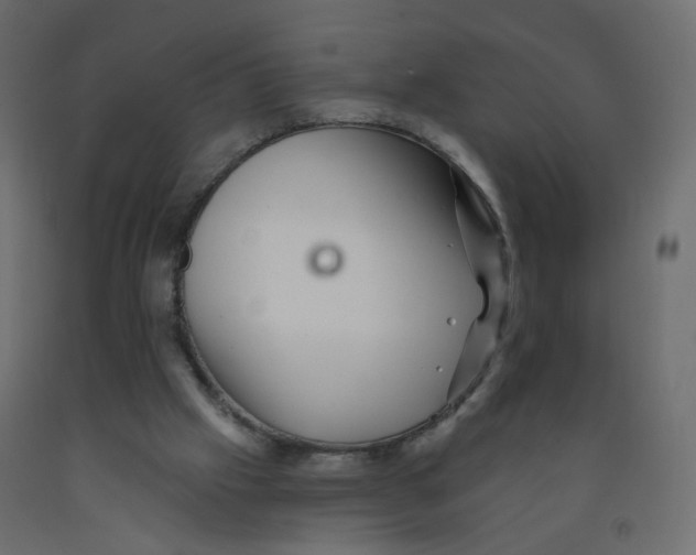 X0000092080057200710101049