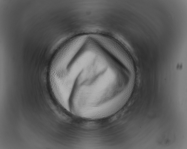 X0000092080058200710101049