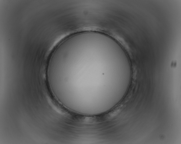 X0000092080060200710101049