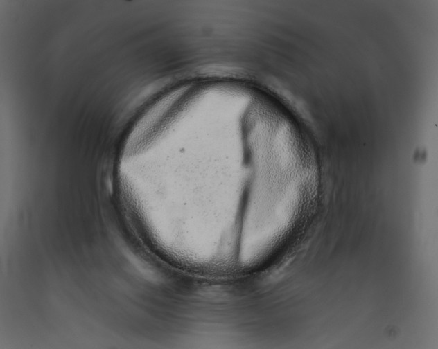 X0000092080062200710101049