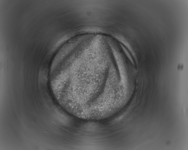 X0000092080063200710101049