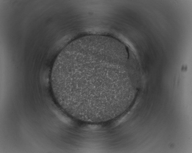 X0000092080065200710101049