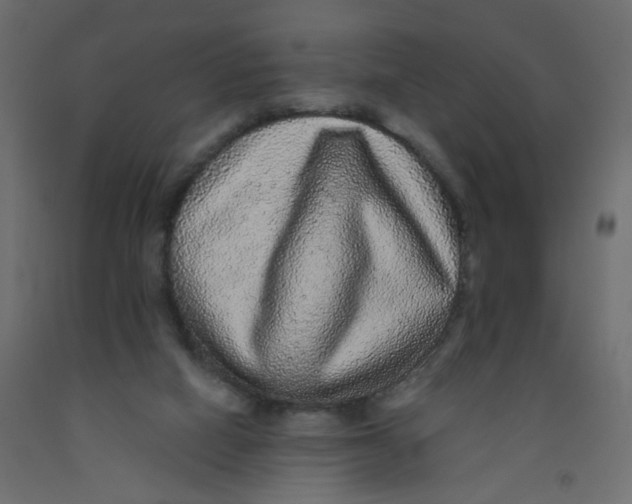 X0000092080066200710101049