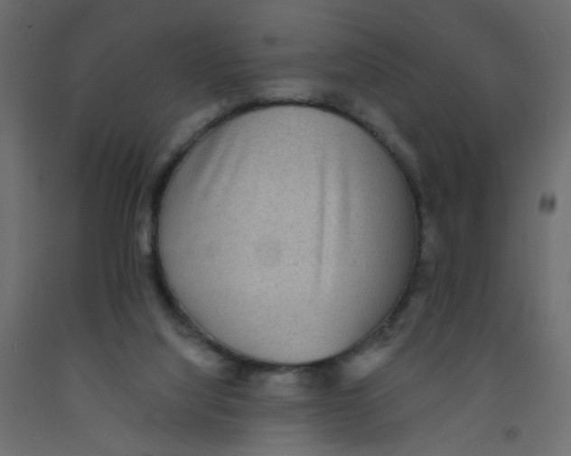 X0000092080068200710101049