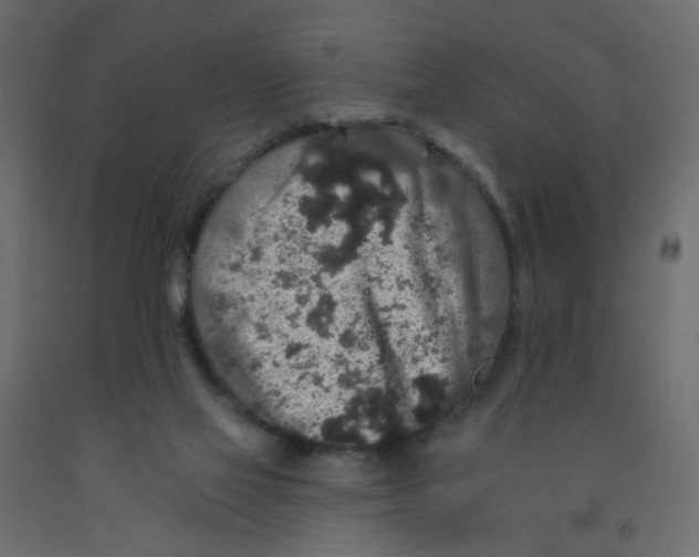 X0000092080069200710101049