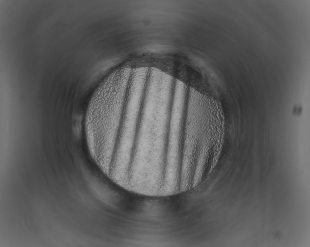 X0000092080070200710101049