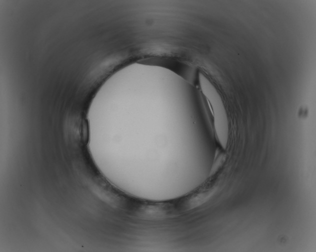 X0000092080072200710101049