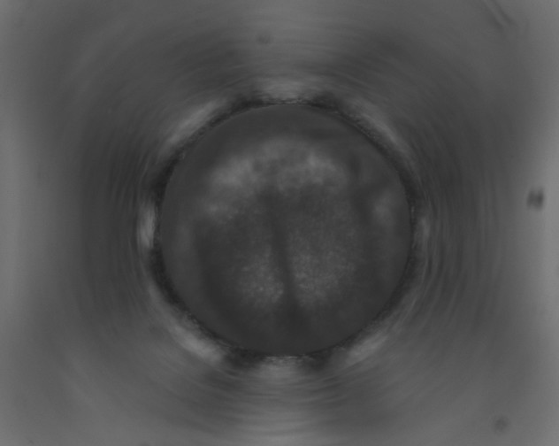 X0000092080076200710101049