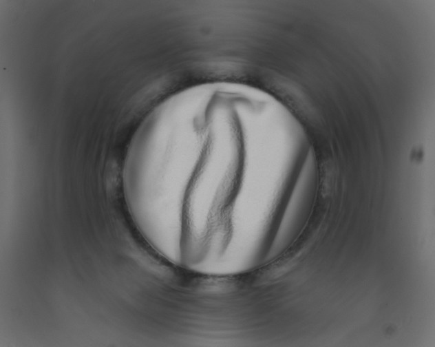 X0000092080077200710101049