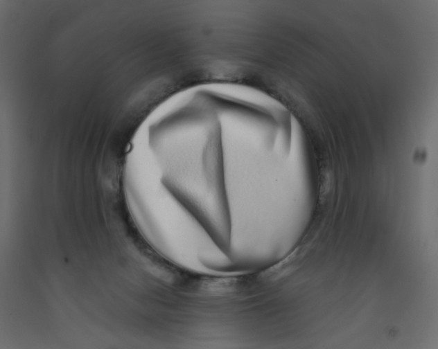 X0000092080078200710101049