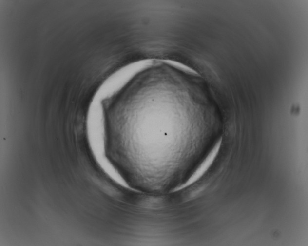 X0000092080081200710101049