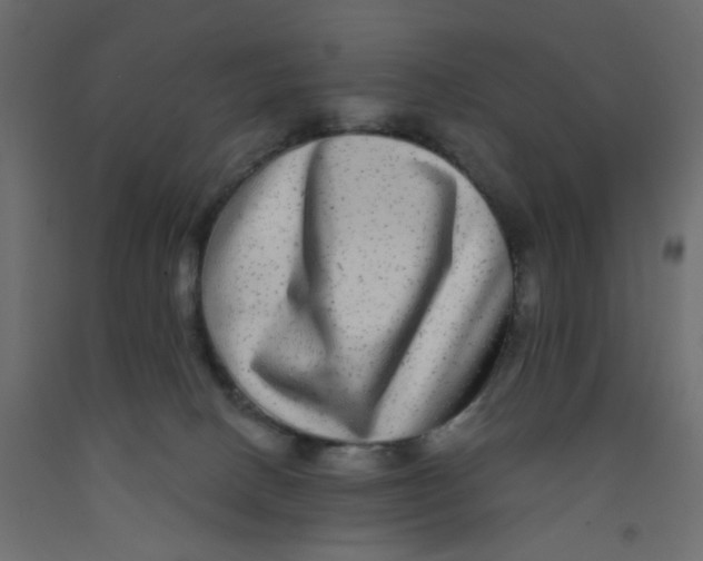 X0000092080082200710101049