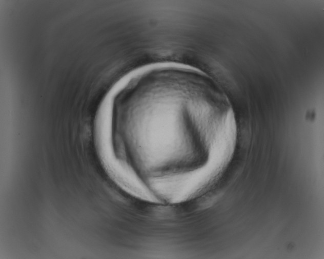 X0000092080085200710101049