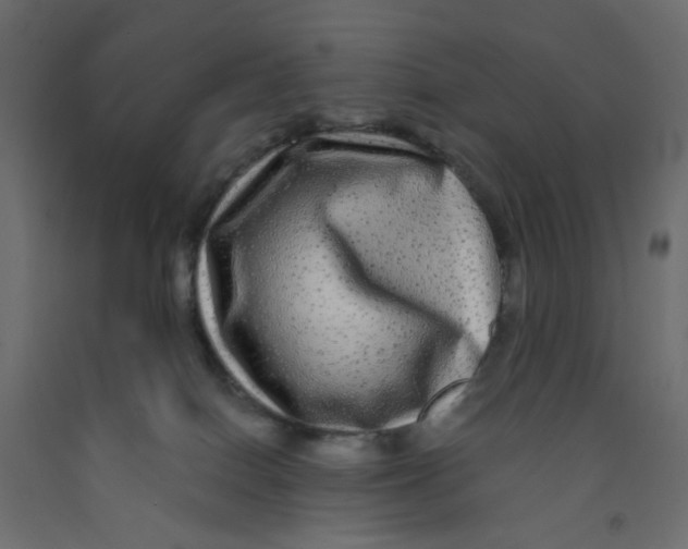 X0000092080086200710101049