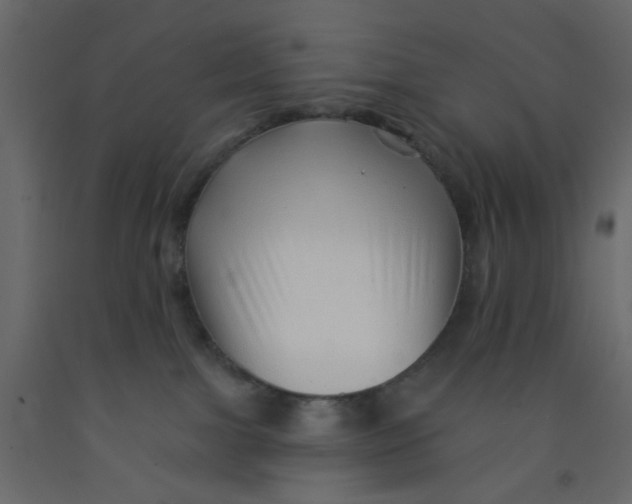 X0000092080091200710101049