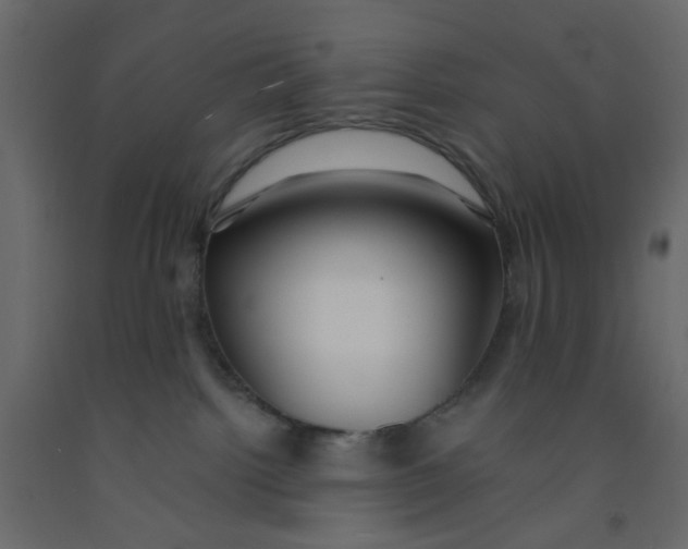 X0000092080092200710101049