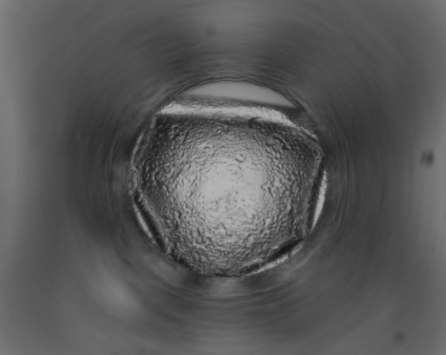 X0000092080093200710101049