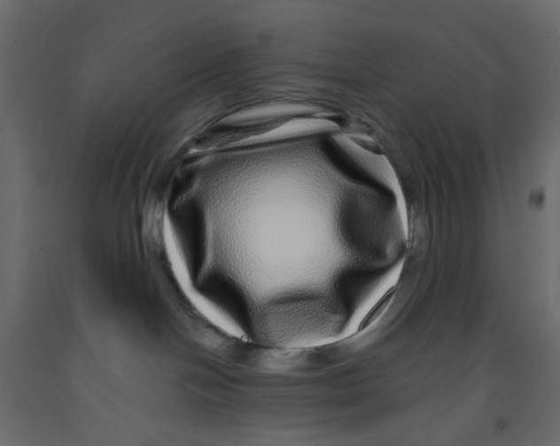 X0000092080094200710101049