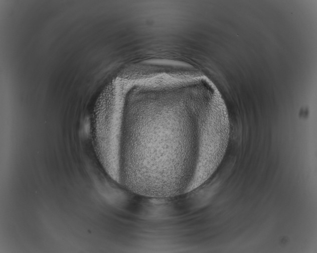 X0000092080095200710101049