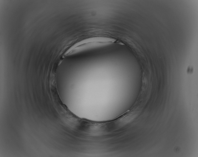 X0000092080096200710101049