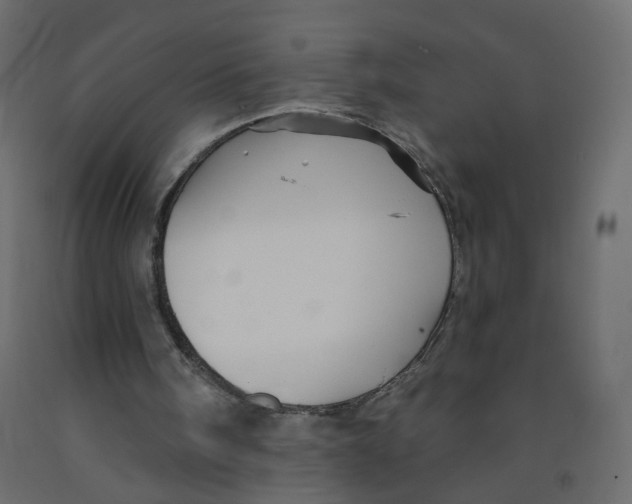 X0000092080098200710101048