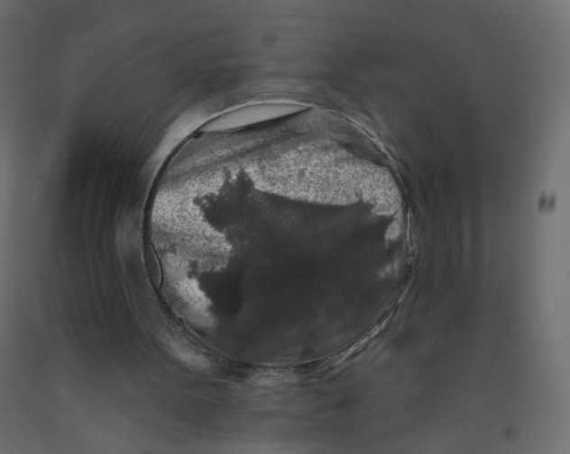 X0000092080099200710101048