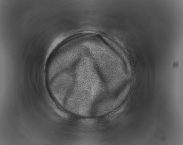 X0000092080102200710101048