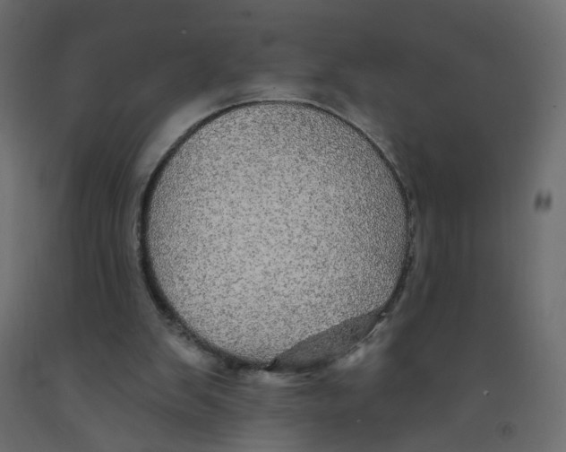 X0000092080103200710101048