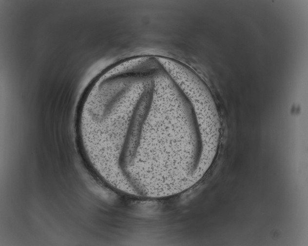 X0000092080104200710101048